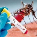 डेंगू से परेशान लोगों के लिए राहत वाली खबर हो सकती है होम्योपैथी चिकित्सा : डॉ. द्विवेदी